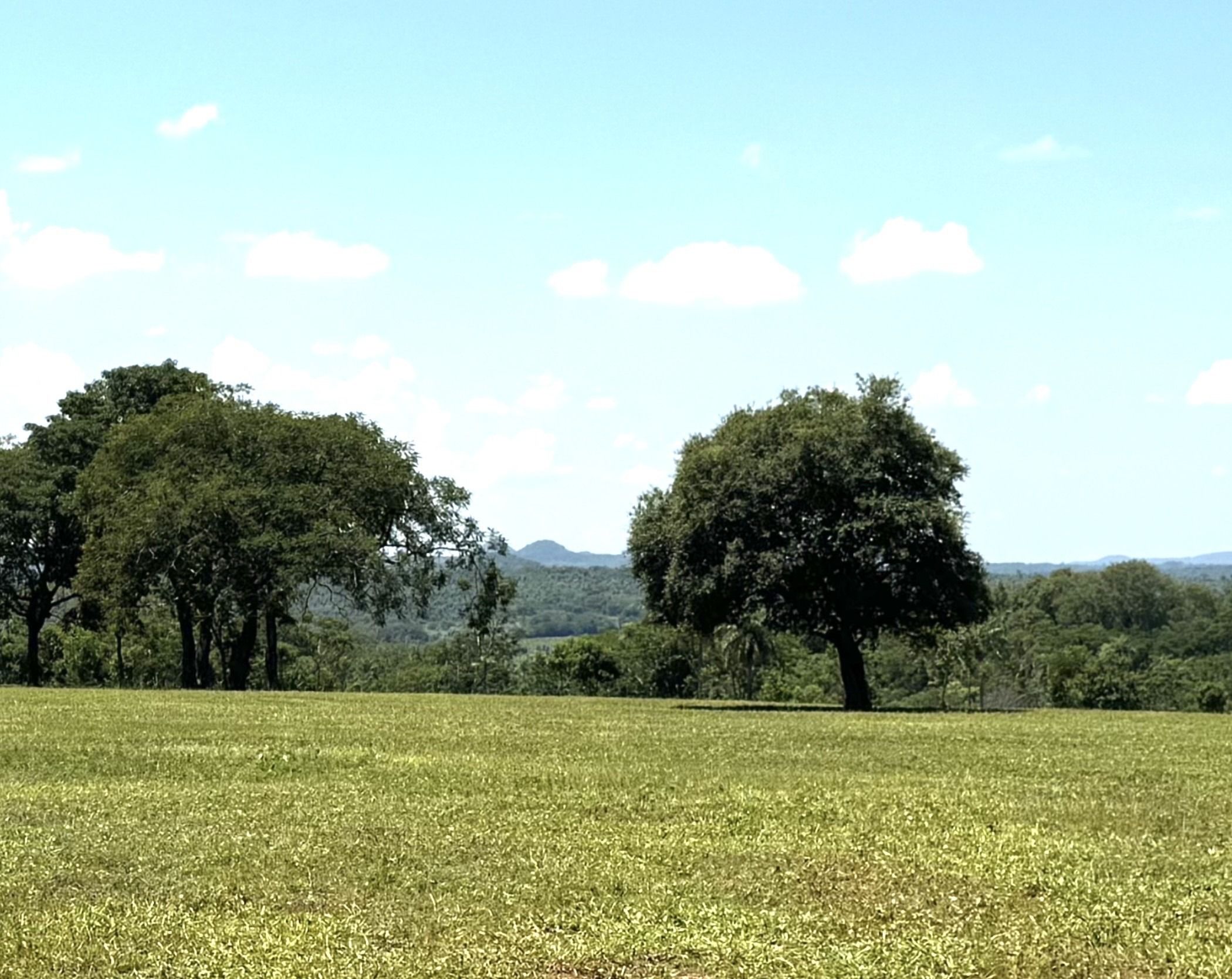Pradera de Aldeana con árboles nativos y la serranía al fondo